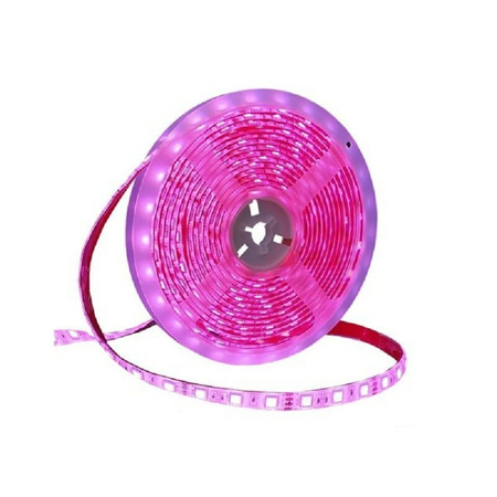 Ταινία led – led Strip - Ip65 - 5m - Pink - 891207