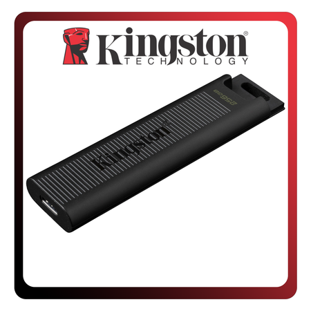 Kingston DataTraveler Max USB Stick DTMAX/256 GB