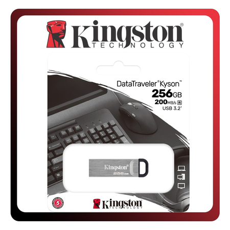 Kingston DataTraveler Kyson USB Stick DTKN/256 GB